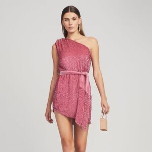 NWT Retrofete pink sequin dress